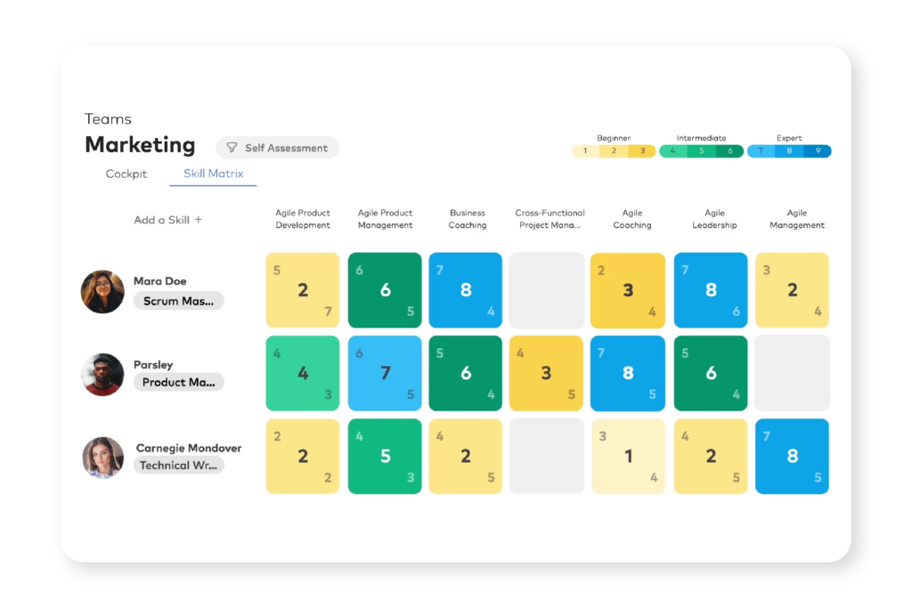 AgyleOS Skills matrix